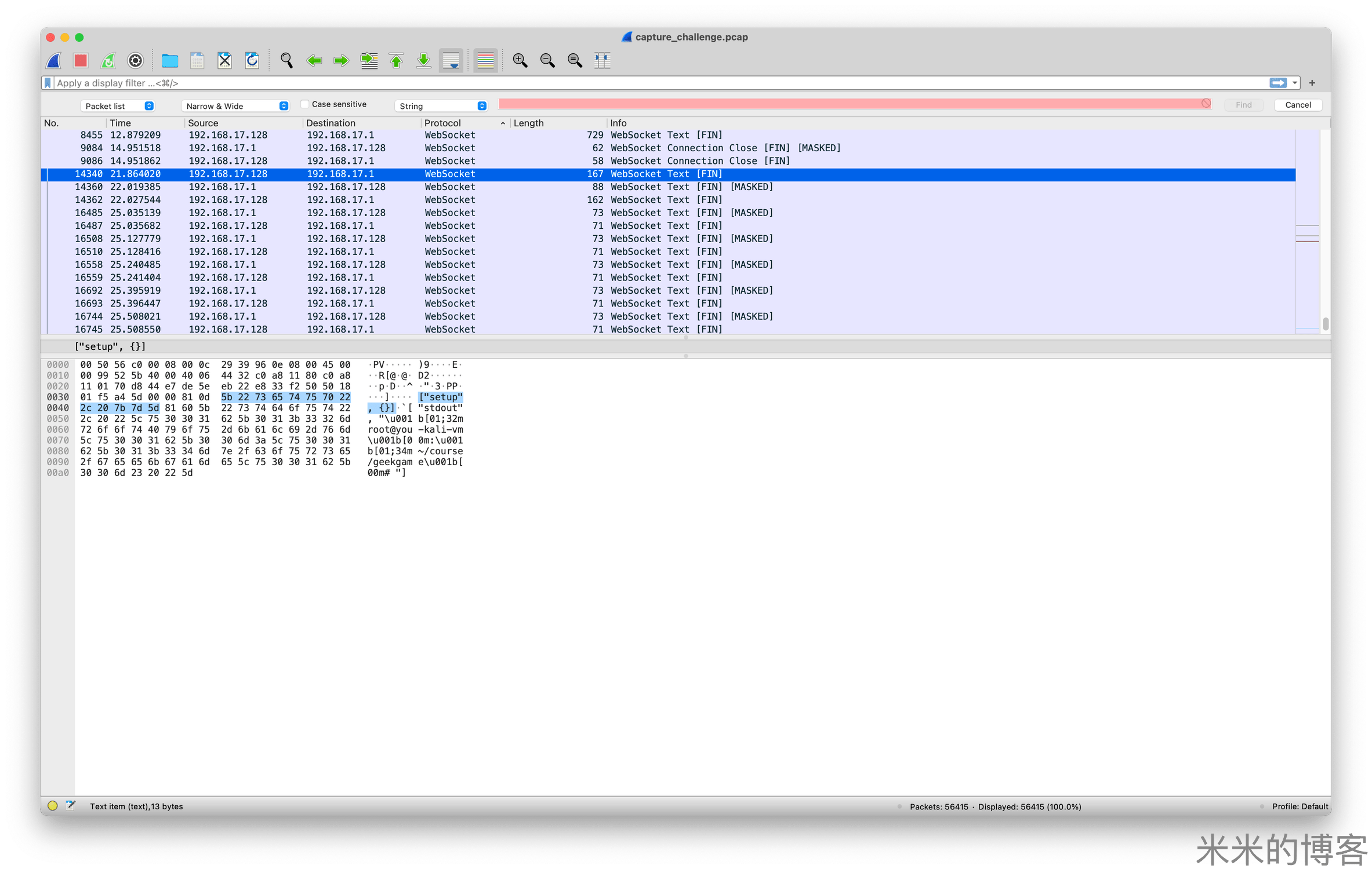 命令提示符中的you-kali-vm